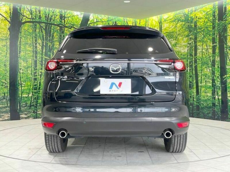 CX-8-15