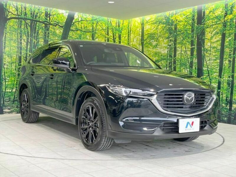 CX-8-16