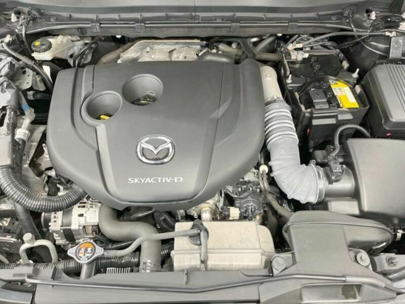 CX-8-17