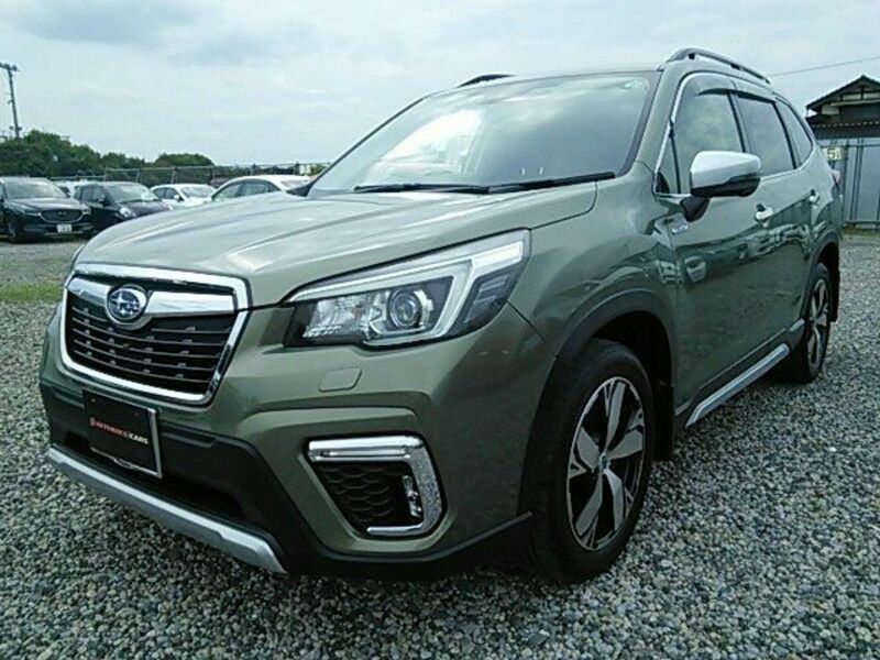 FORESTER