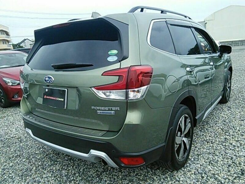 FORESTER-2