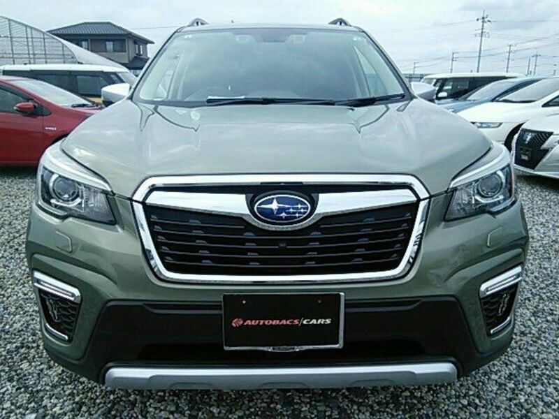 FORESTER-3