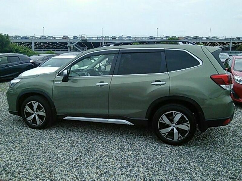 FORESTER-5