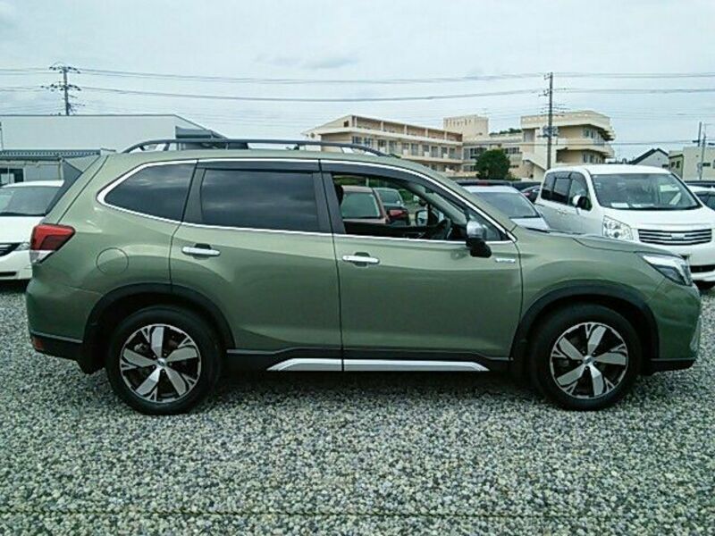 FORESTER-6