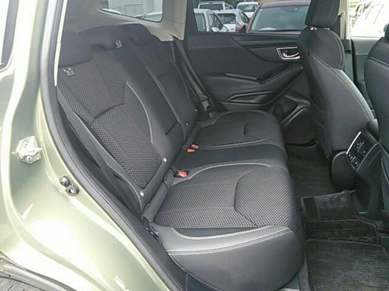 FORESTER-11