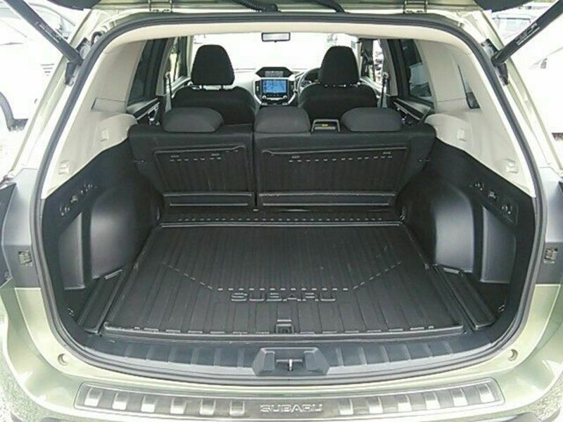 FORESTER-13