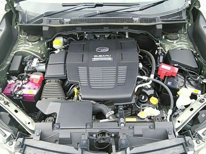 FORESTER-14