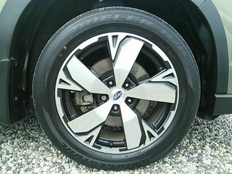 FORESTER-16