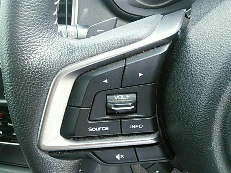 FORESTER-17