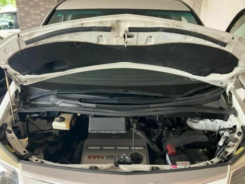 ALPHARD-15