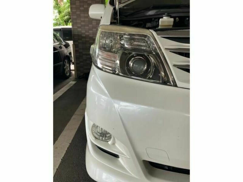 ALPHARD-16