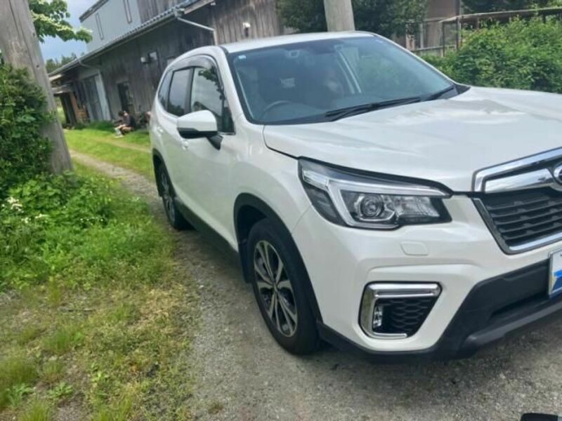 FORESTER-1