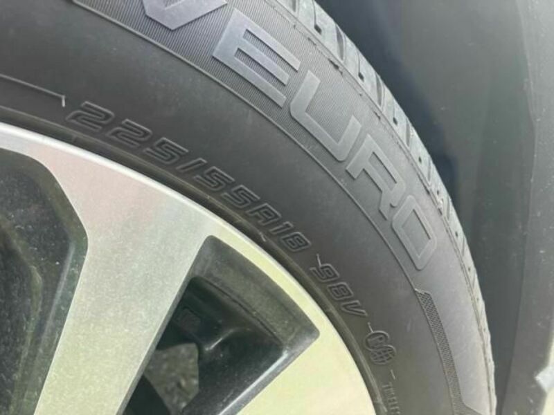 FORESTER-3