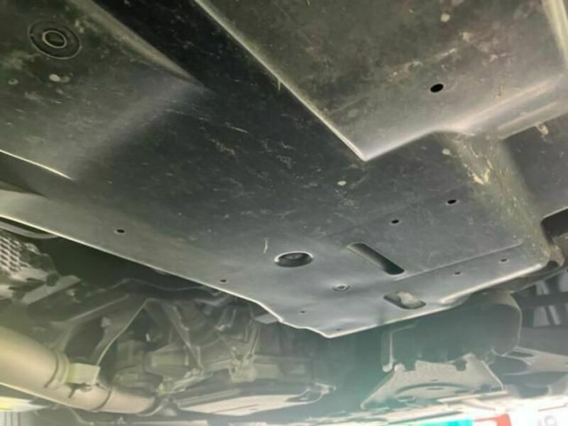 FORESTER-4