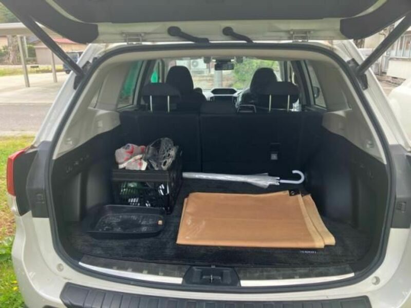 FORESTER-11