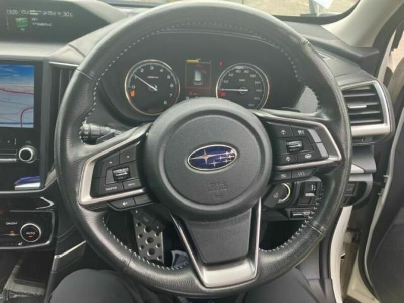 FORESTER-24