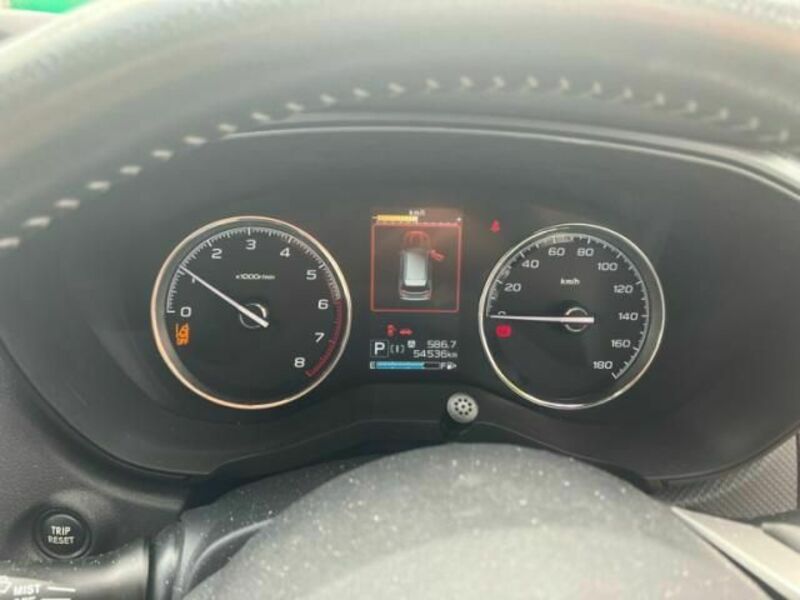 FORESTER-26