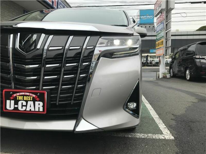 ALPHARD-12