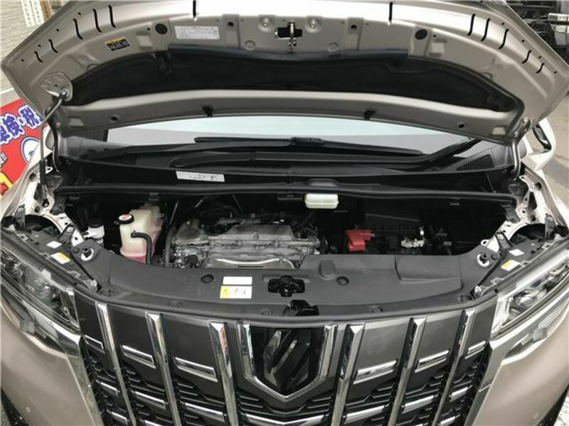 ALPHARD-15