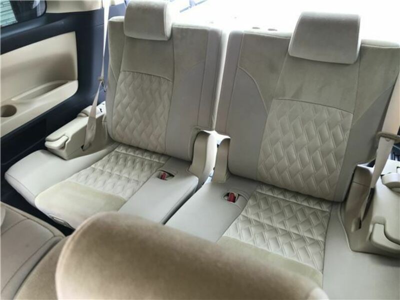 ALPHARD-21