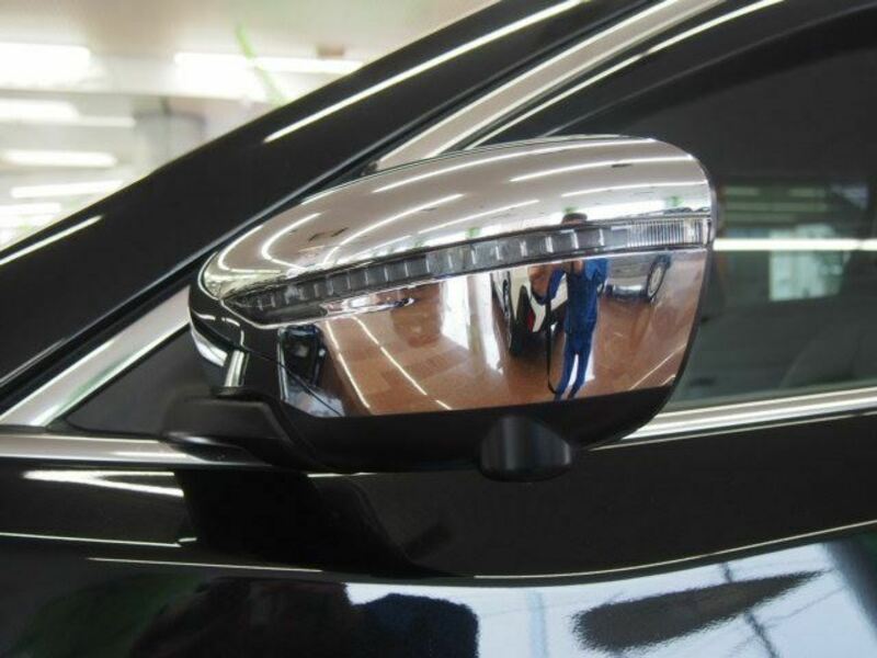 X-TRAIL-10