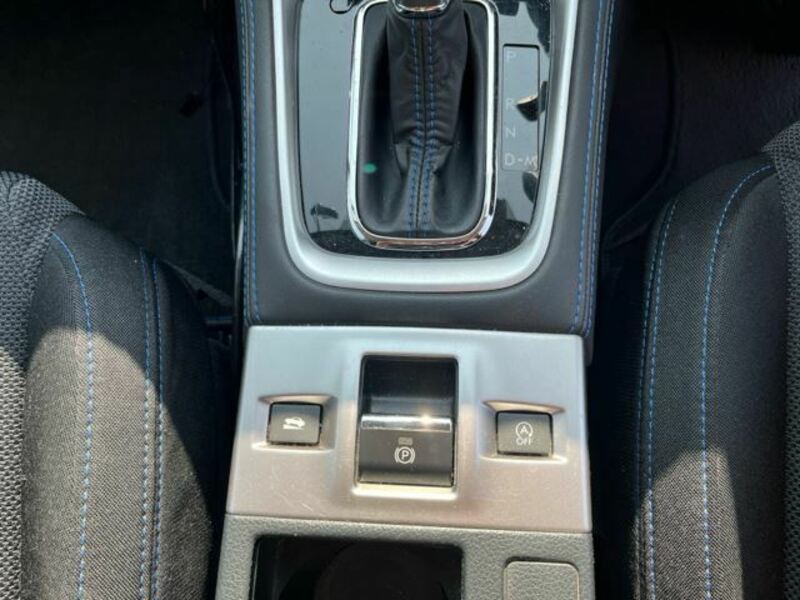 LEVORG-12