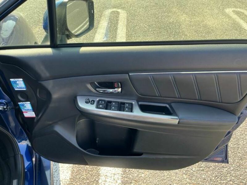 LEVORG-19