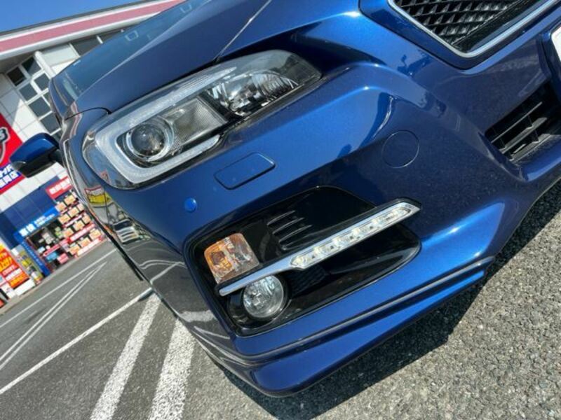 LEVORG-28
