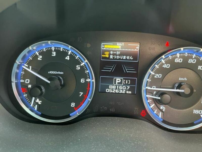 LEVORG-30