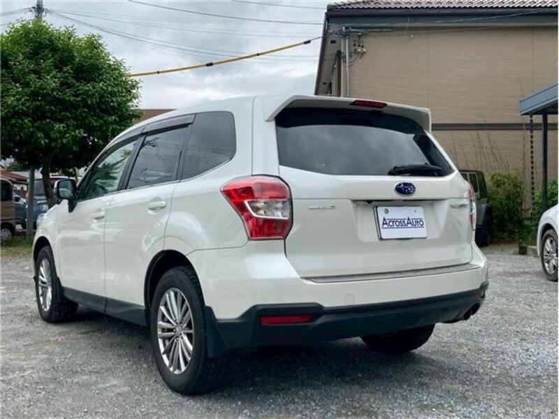 FORESTER