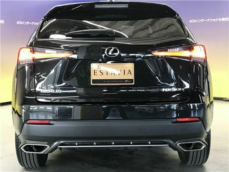 NX