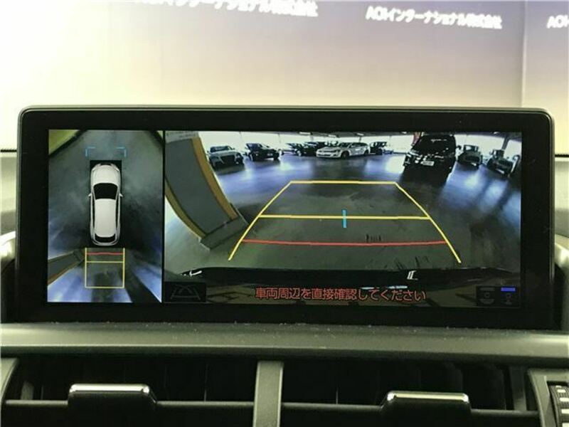 NX