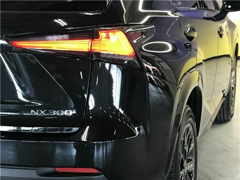 NX
