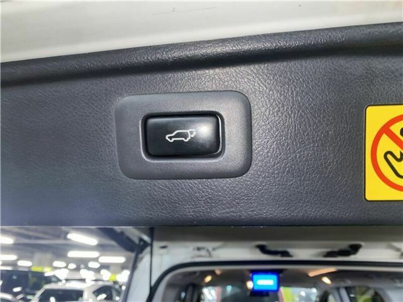 ALPHARD-13