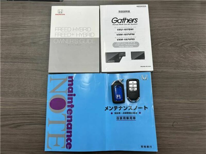 FREED+