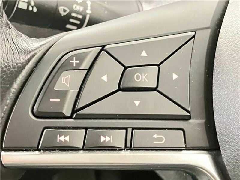 X-TRAIL-31
