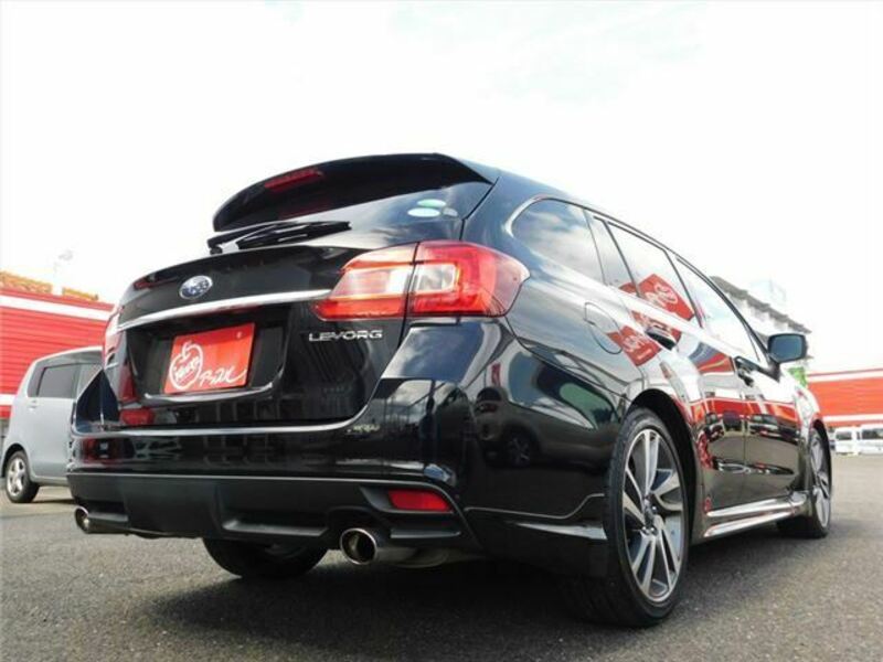 LEVORG