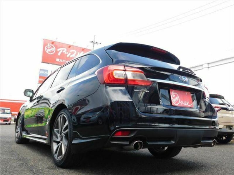 LEVORG