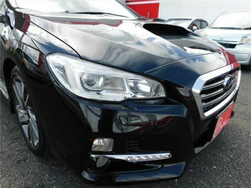 LEVORG