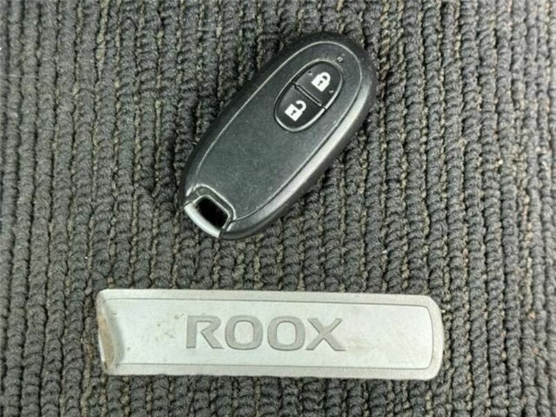 ROOX-10