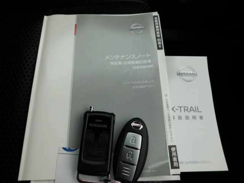 X-TRAIL-17
