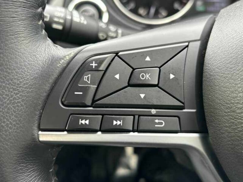 X-TRAIL-9
