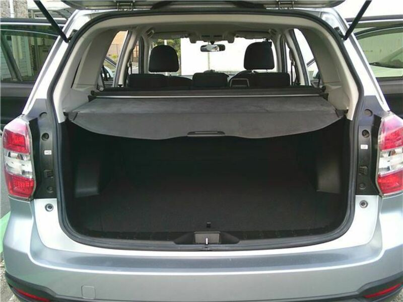 FORESTER-8
