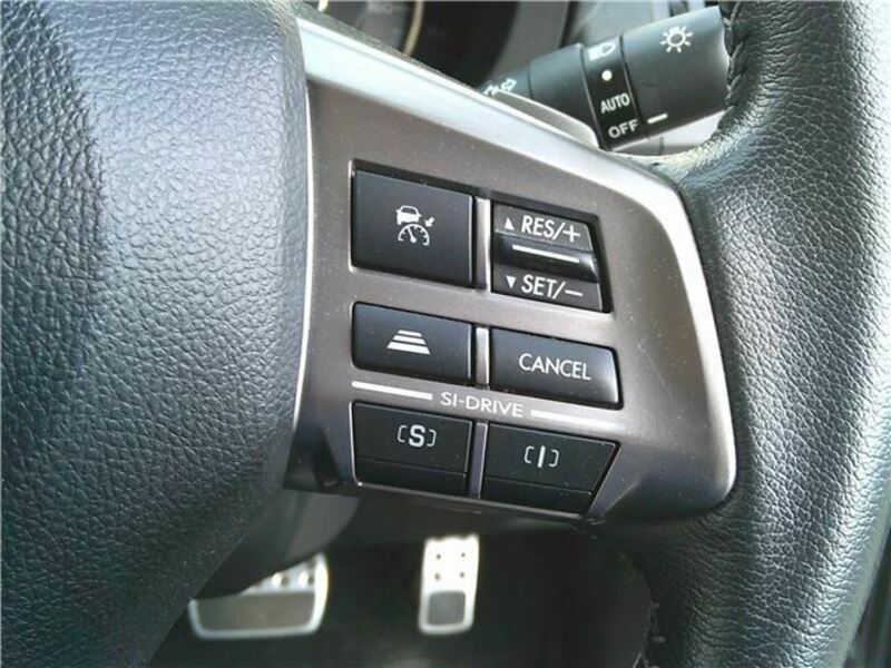 FORESTER-15