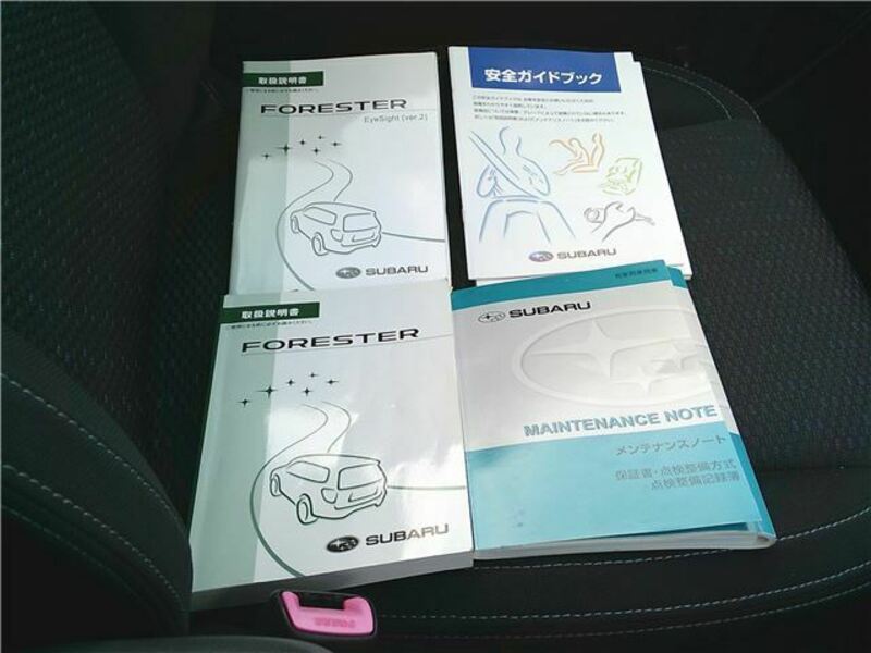 FORESTER-29