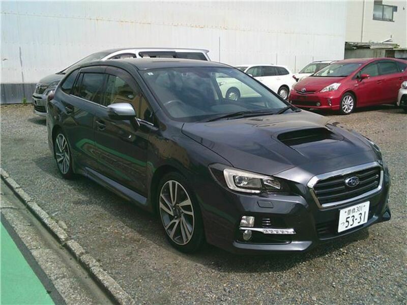 LEVORG