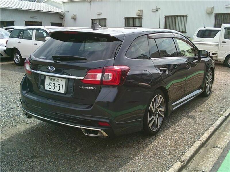 LEVORG-1