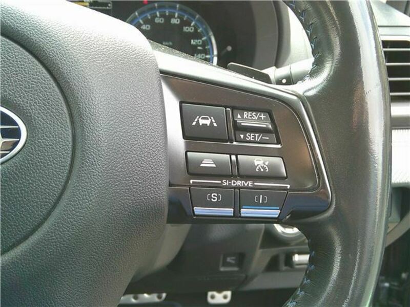 LEVORG-13