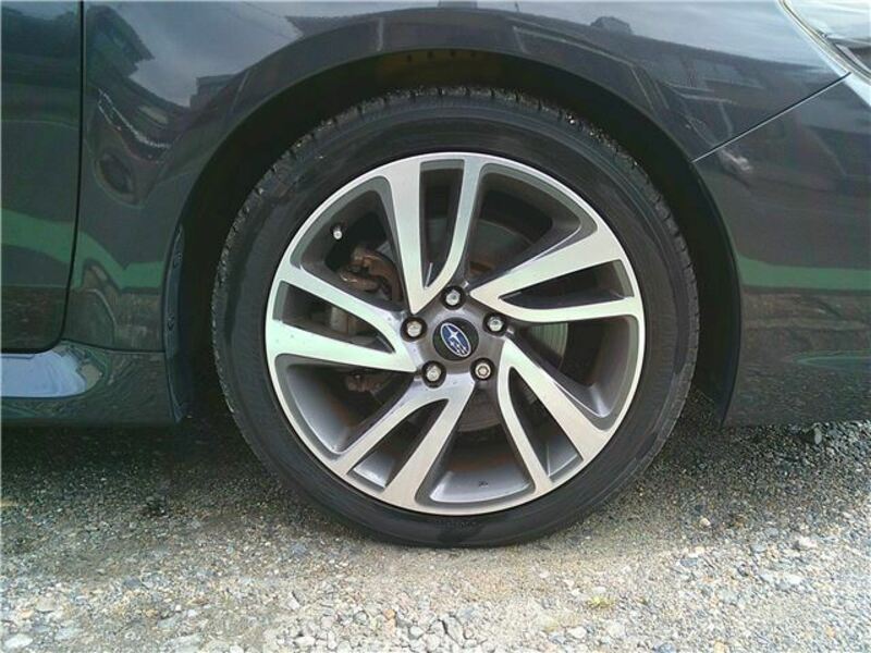 LEVORG-27