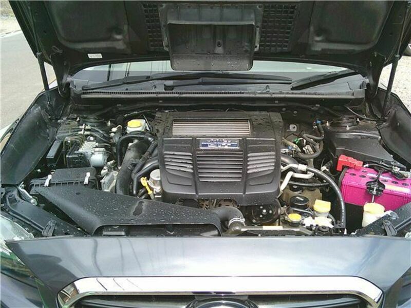 LEVORG-28